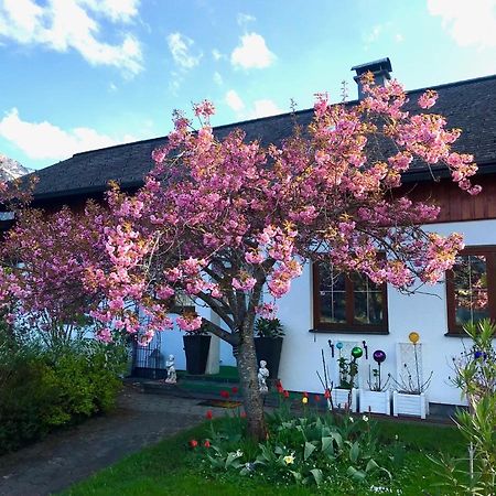 Villa Haus Belli à Bad Aussee Extérieur photo